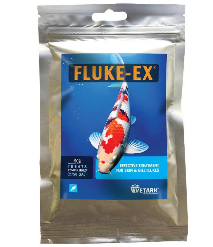 Fluke-Ex - Image 3