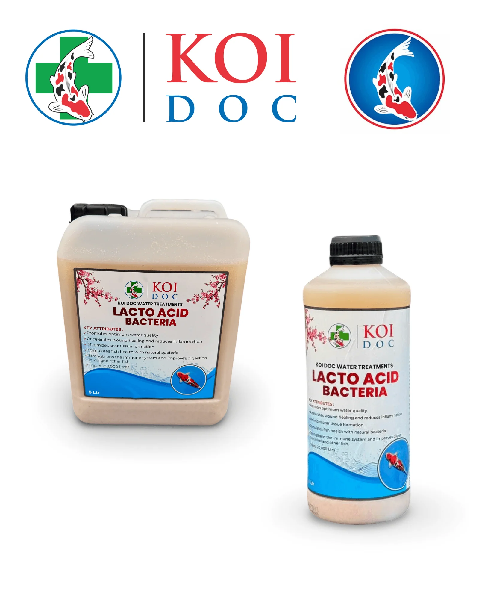 Featured Products