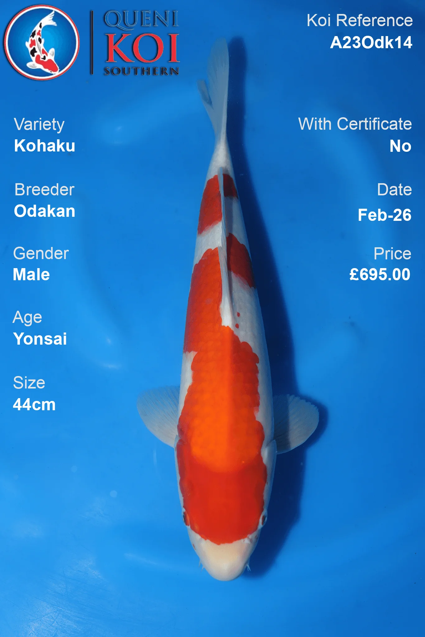 £500.00 - £995.00