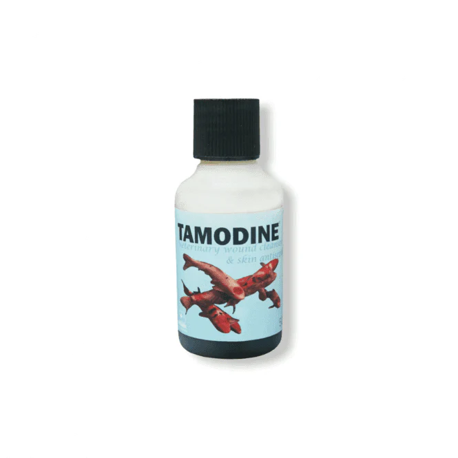 Tamodine - Image 3